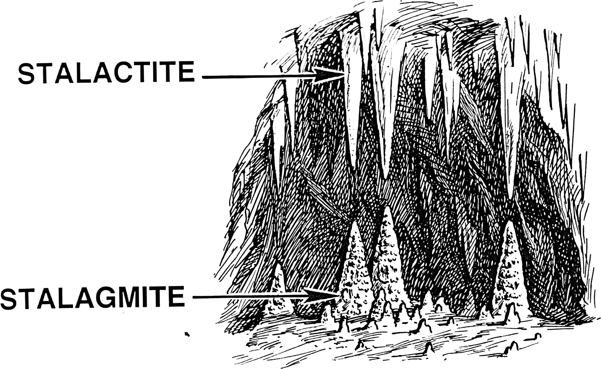 Différence entre les stalactites et les stalagmites