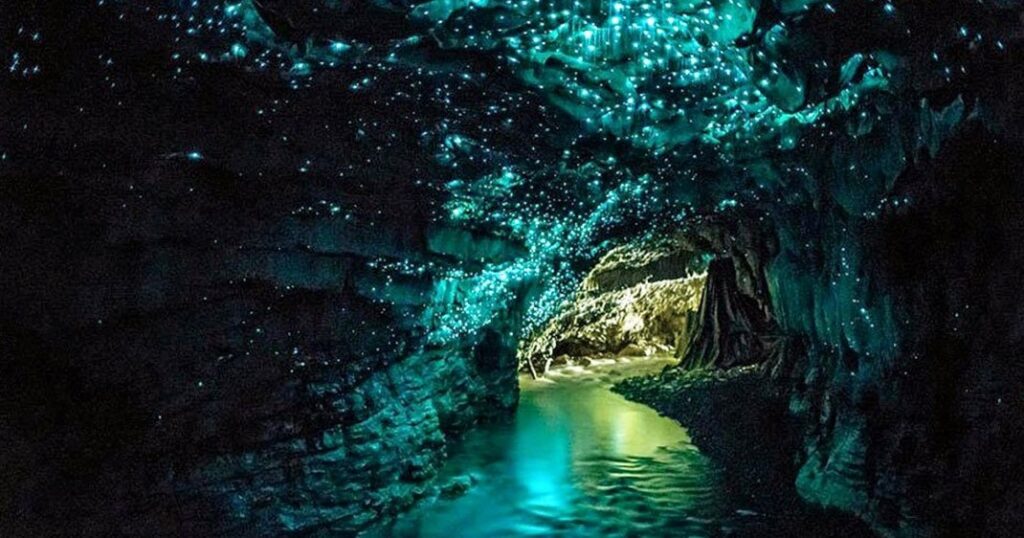Grotte de Waitomo, Nouvelle-Zélande