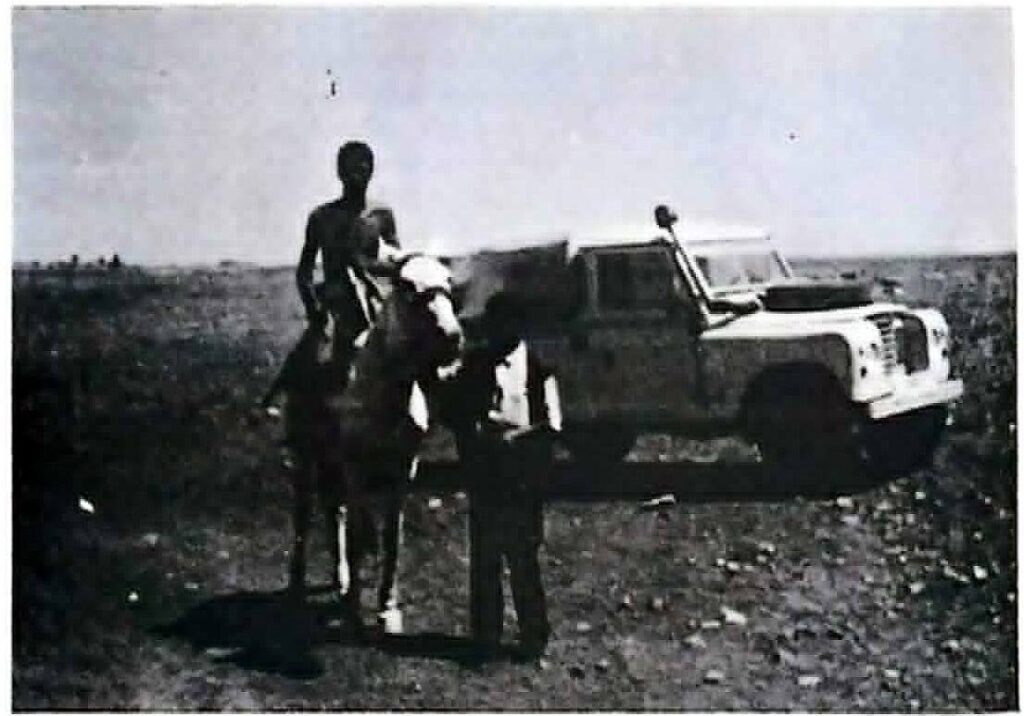 Sur le plateau de Saïda, un paysage désertique.
(photo S.C.B.)